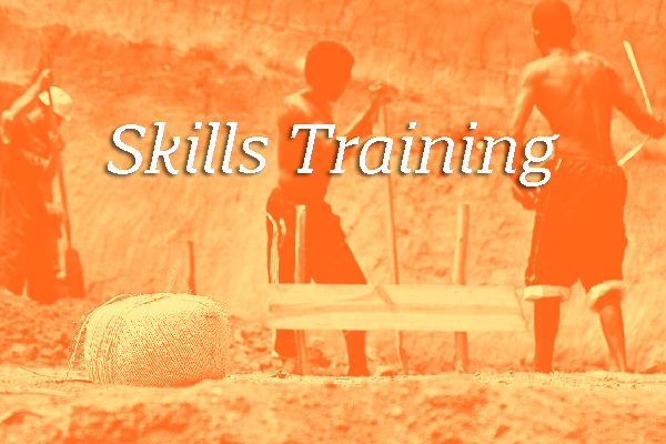 "Skills Training" in white font over an orange-tinted photograph of 3 Malagasy men farming