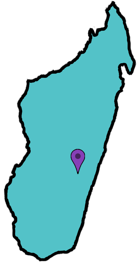 outline of Madagascar in aqua with purple pin on Amboditanana (SE part of country)